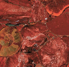 Red Jasper Classic