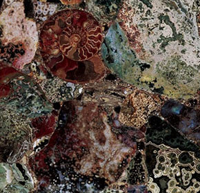 Ocean jasper